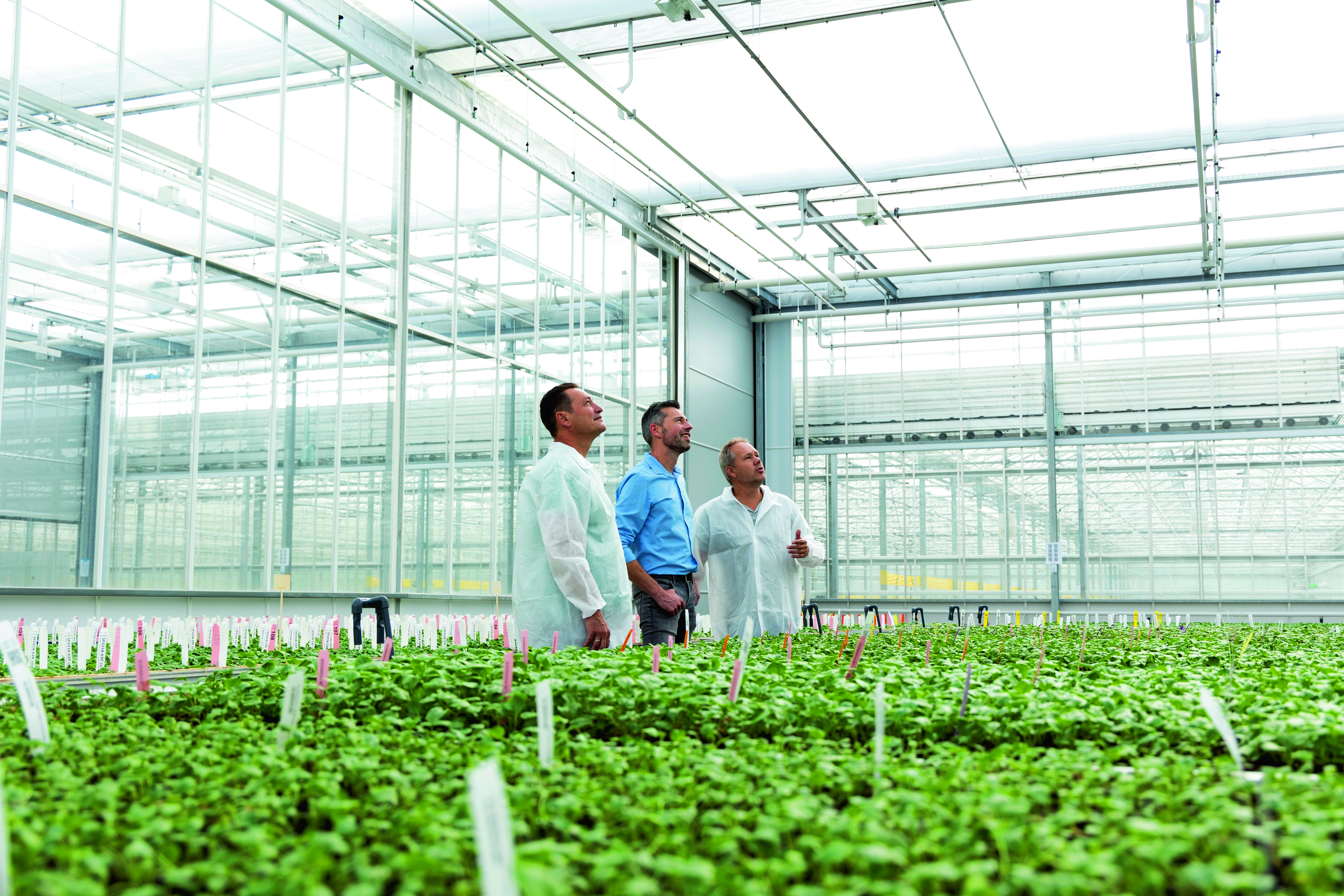 cs - Hilverda - banner.jpg