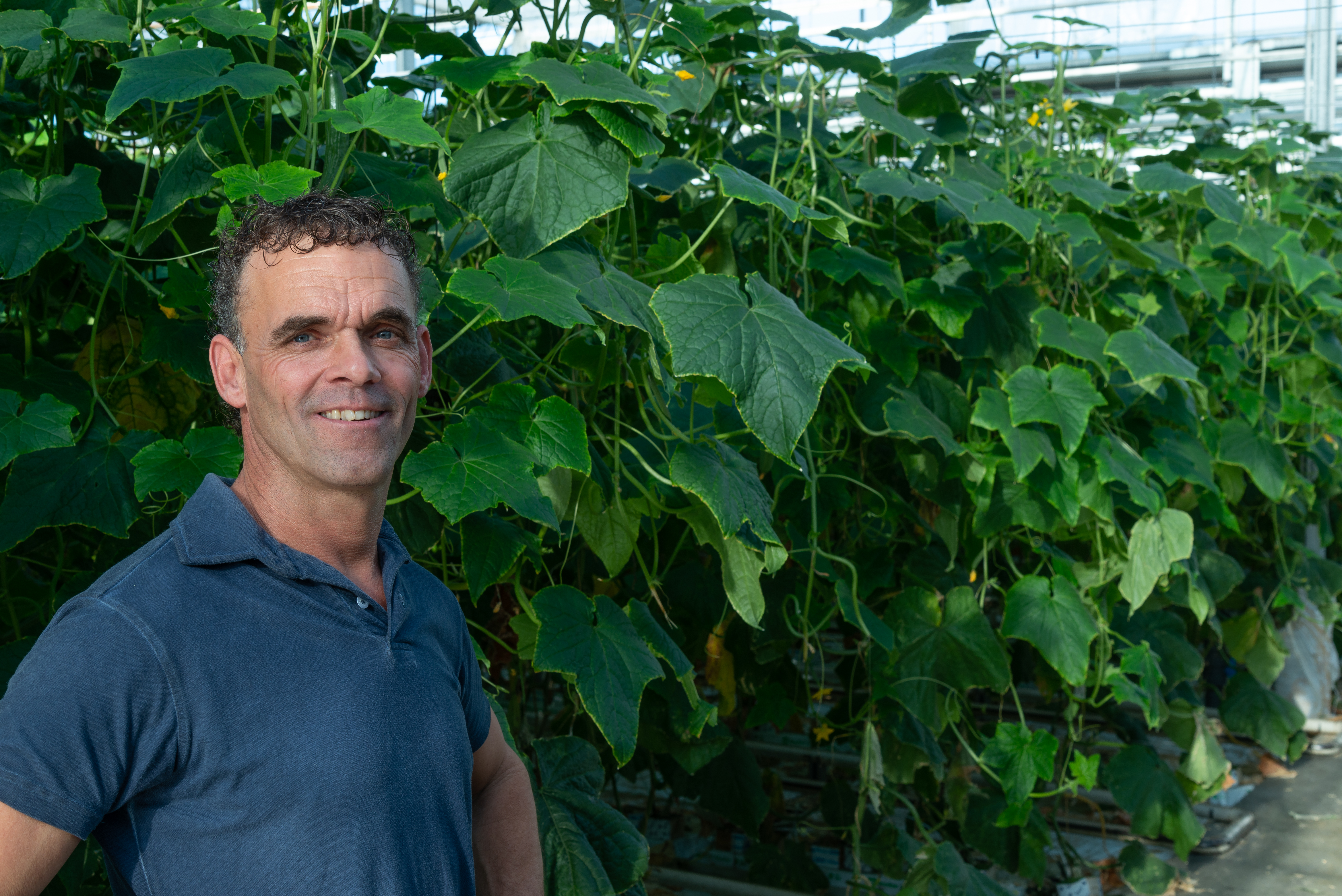 cs - kas-panningen-040_1.jpg