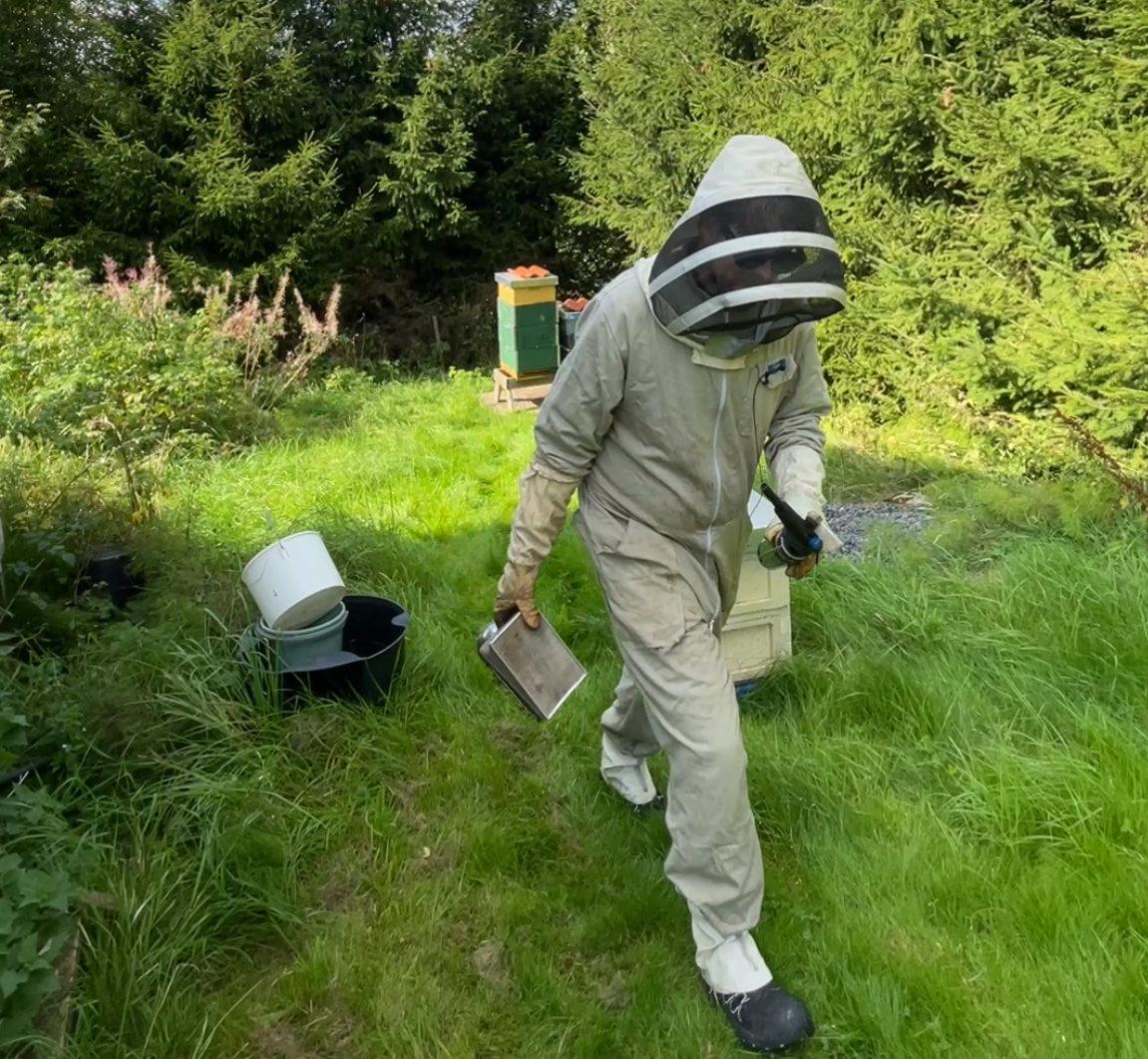 Petter Grubbström bee garden.png