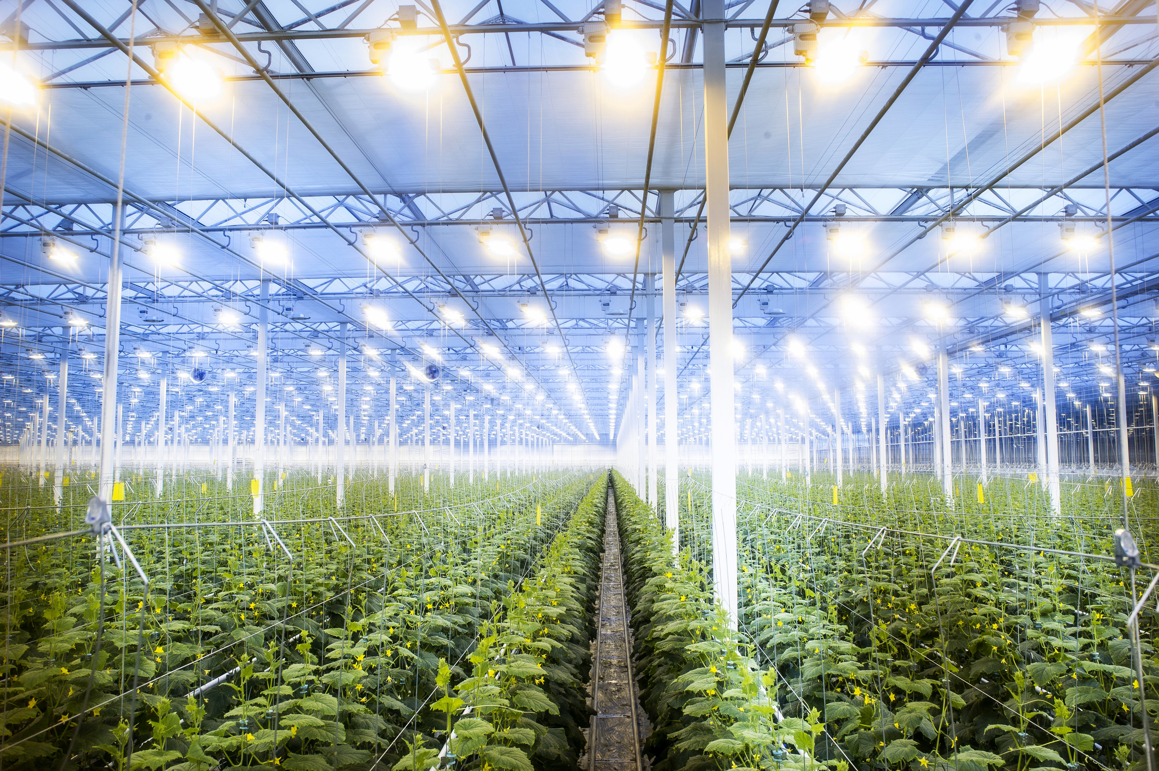 cs - dsc_5731marblefarms -.jpg