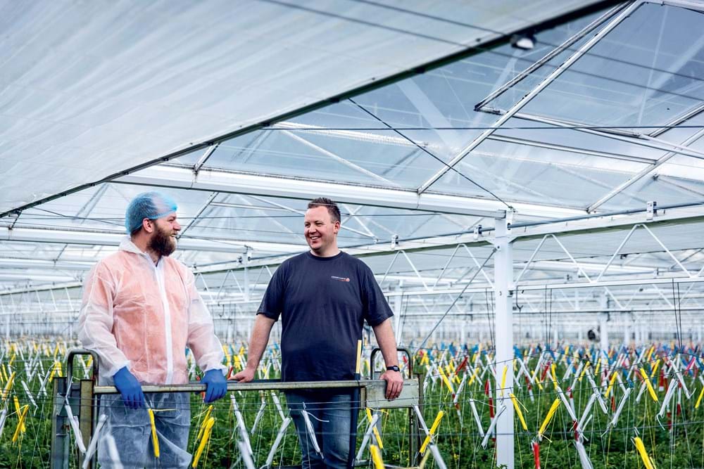 CS2026 Vervaningsoperatie 2 NL.jpg