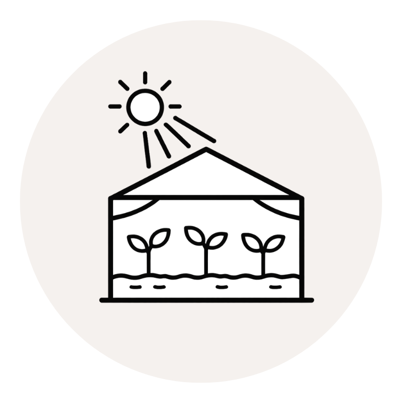 CS - Magic of light - Light Management - Challenge Pages - Tan icon.png