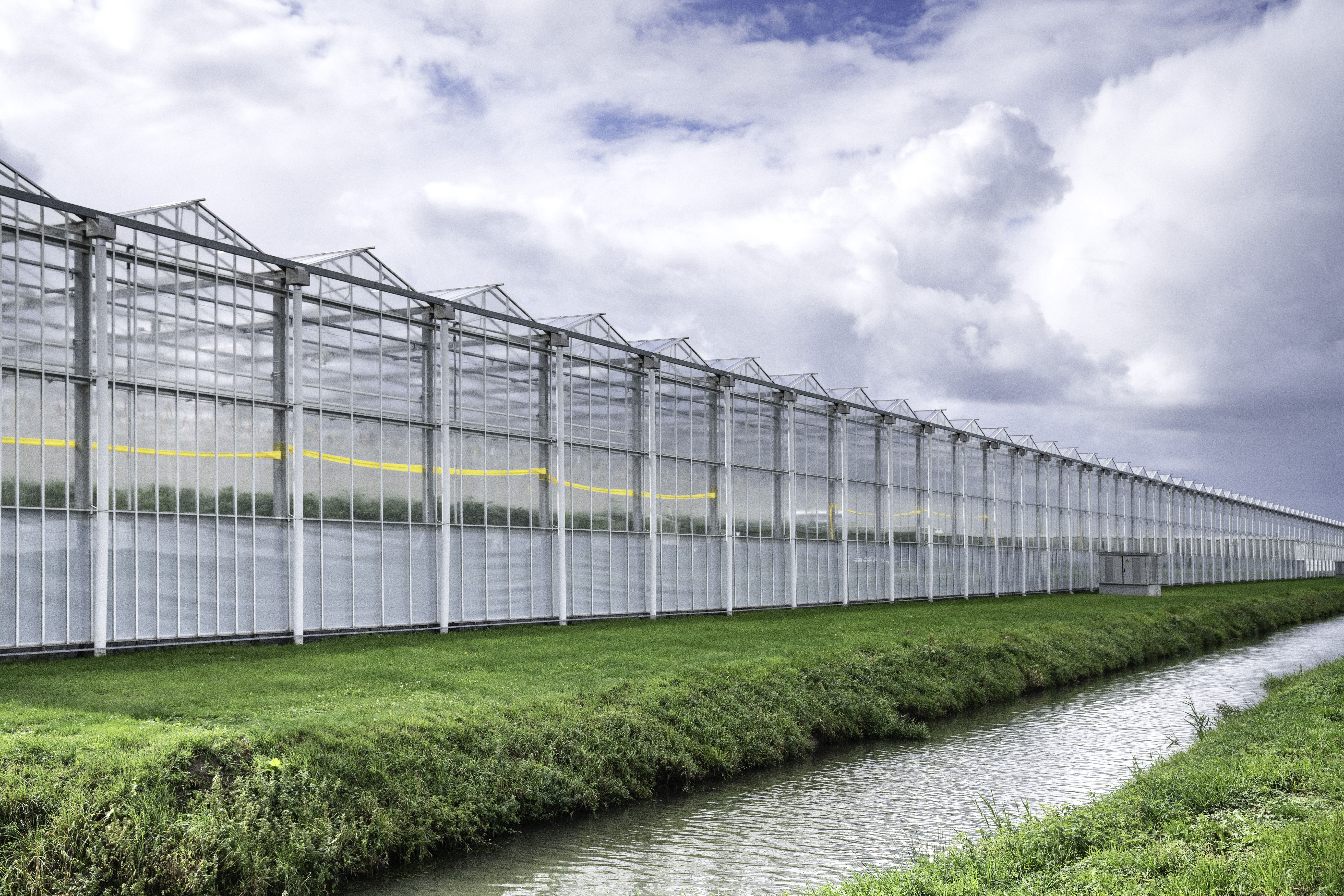 CS - Glasshouse - Netherlands - Dinteloord Kassen