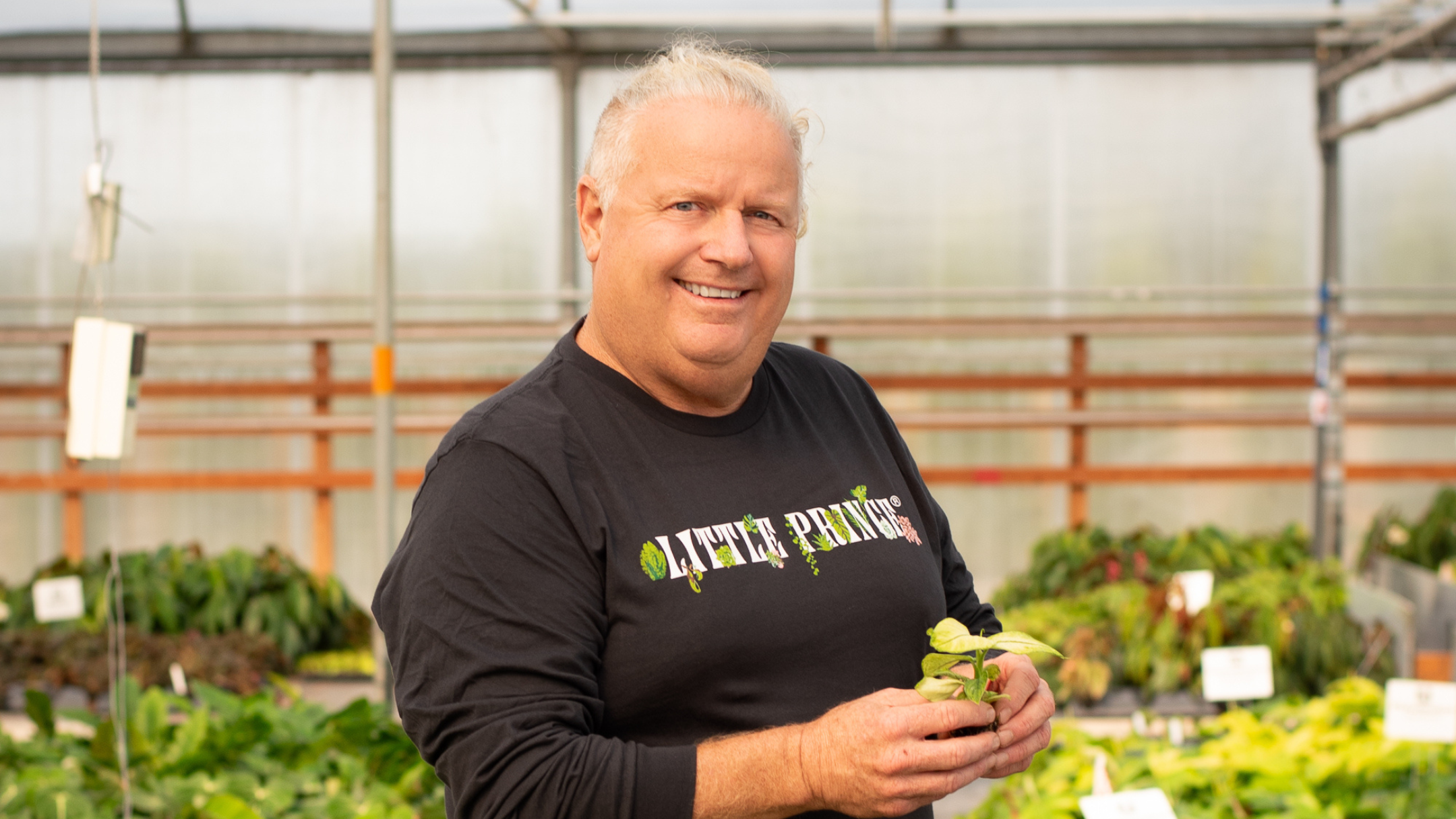 CS - Little Prince of Oregon - Harmony - Mark Leichty - United States.png