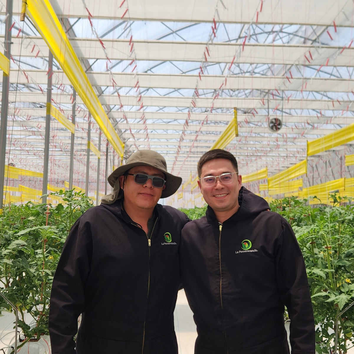 CS - Grower_JD Agro_Tomatio.felipe-palomates-y-hector-parra.png