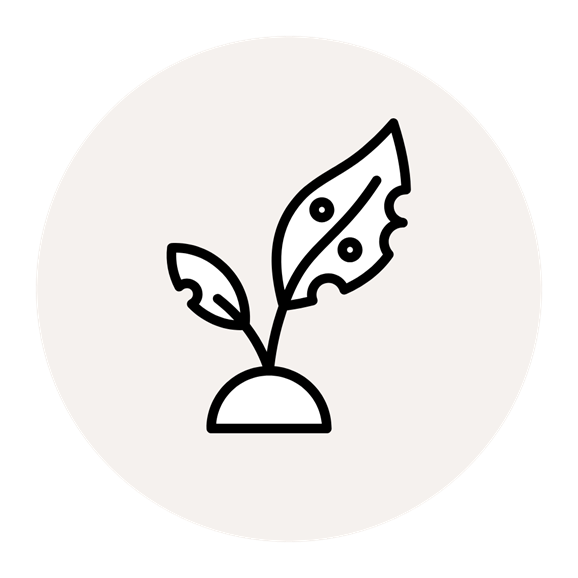 CS - Product - PARperfect - Icons - Crop Health - Tan Color