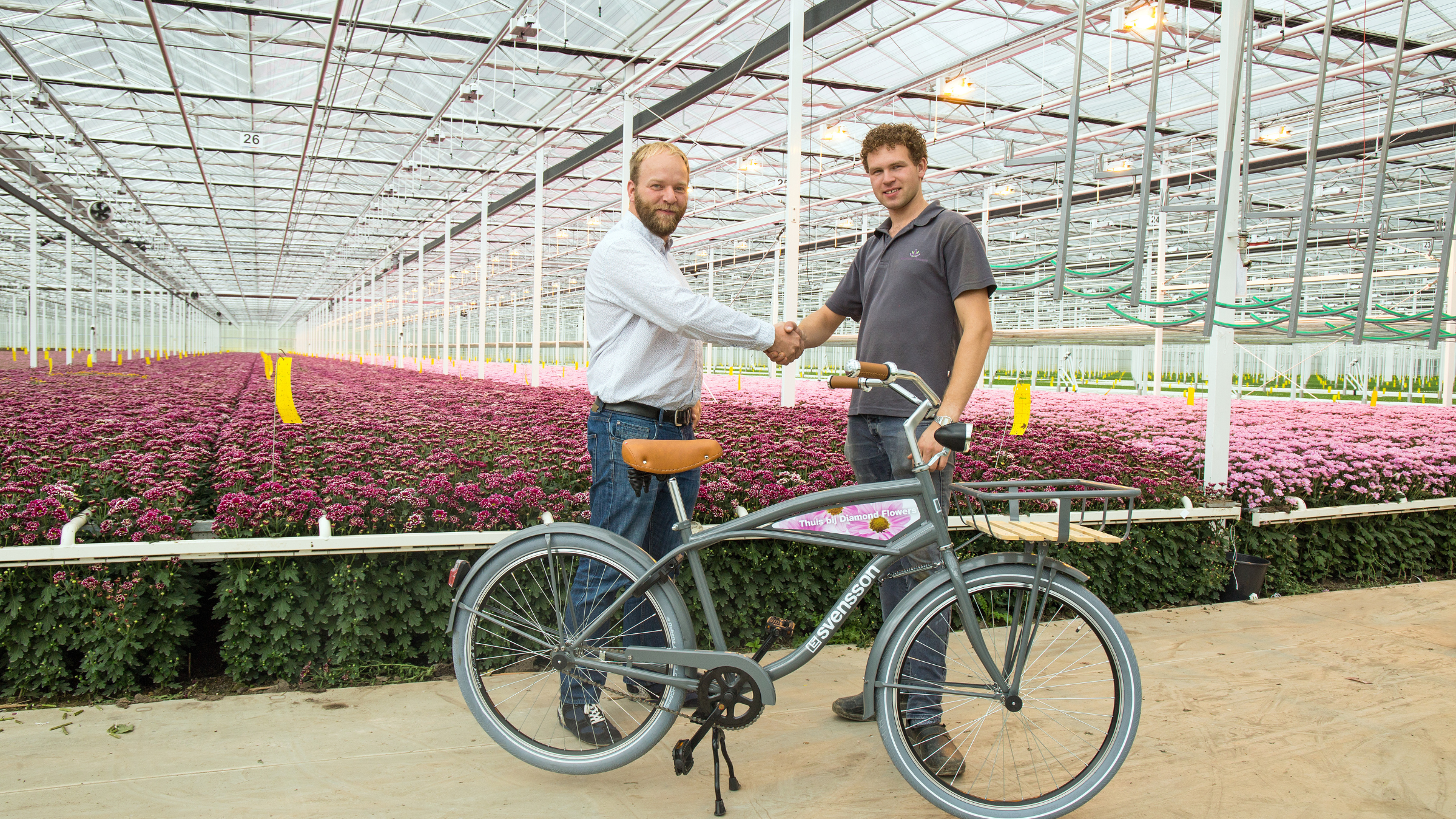 CS - Highlights - Diamond Flowers - Ton Habraken - Double Screens - Harmony - Obscura - Koen Kreling.png