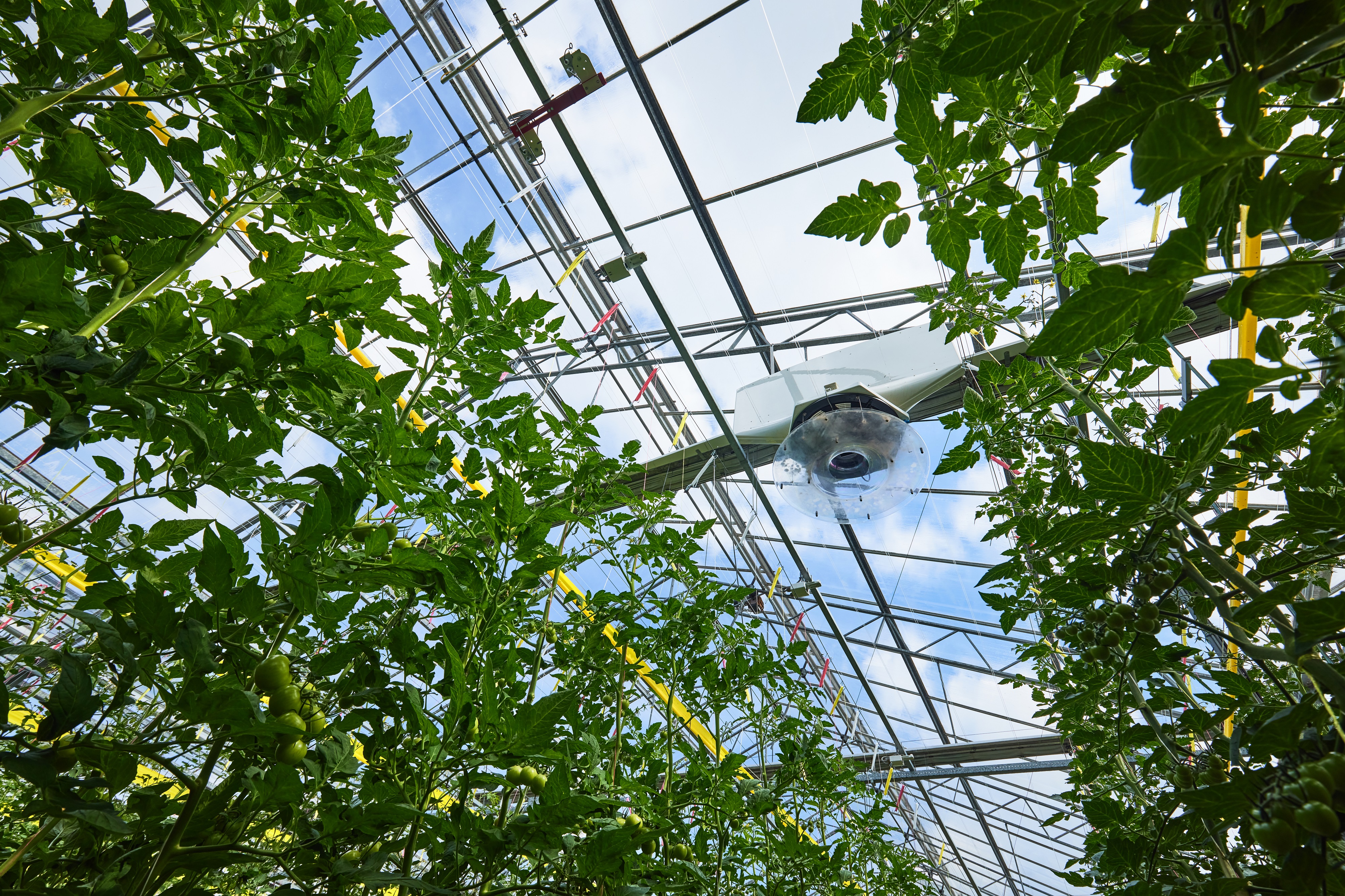 CS - Netherlands - Climaflow Ventilation Jet - High Wire Vegetables - Glasshouse