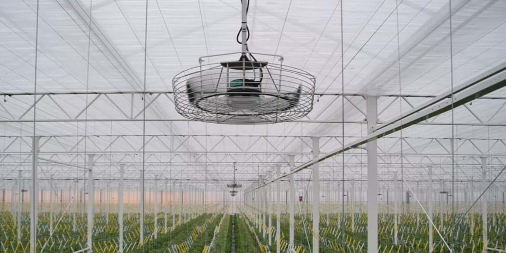 cs - wim peters - climaflow.jpg