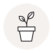 CS - Product - PARperfect - Icons - Plants - Tan Color