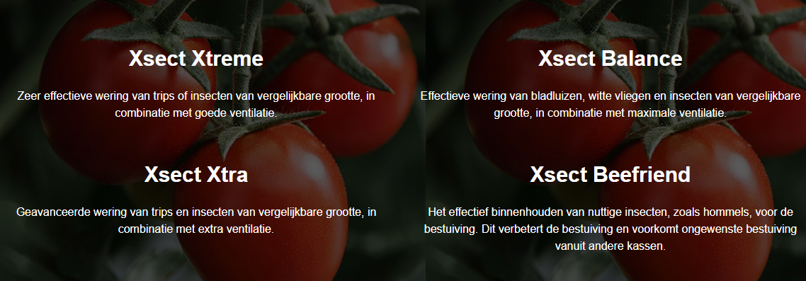 CS2026 Xsect 1 NL.png