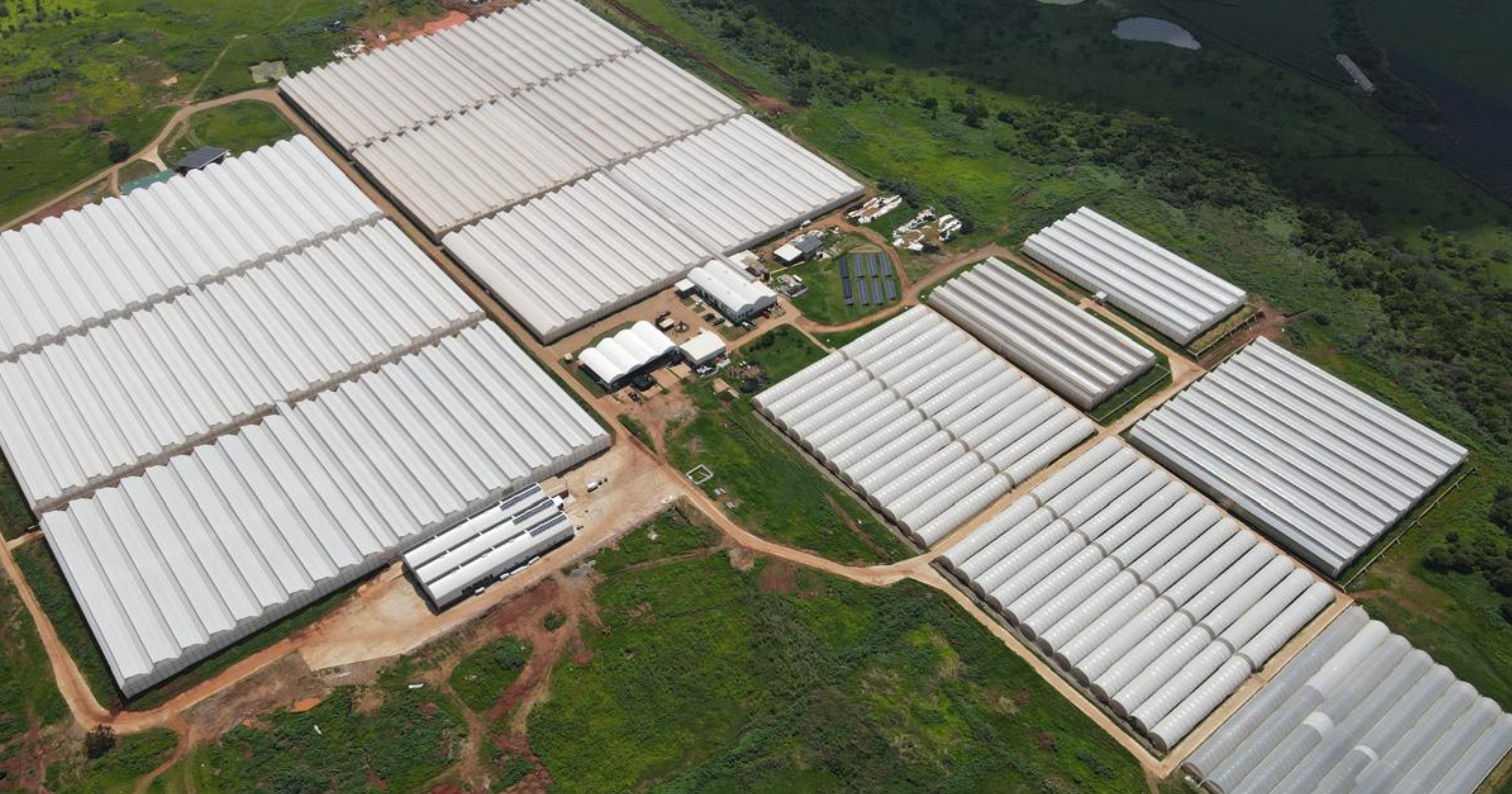 CS_Berry Hill_Mexico_Greenhouse.png