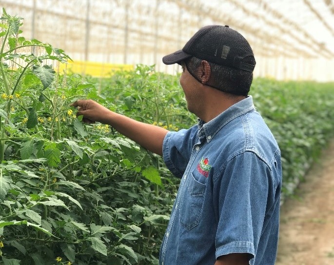 cs - naturesweet-tuxco-2019-lr.jpg