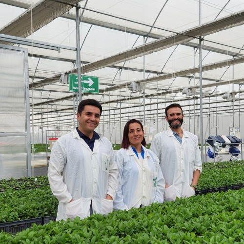 cs - darwin-colombia-4 - leafygreens.jpeg