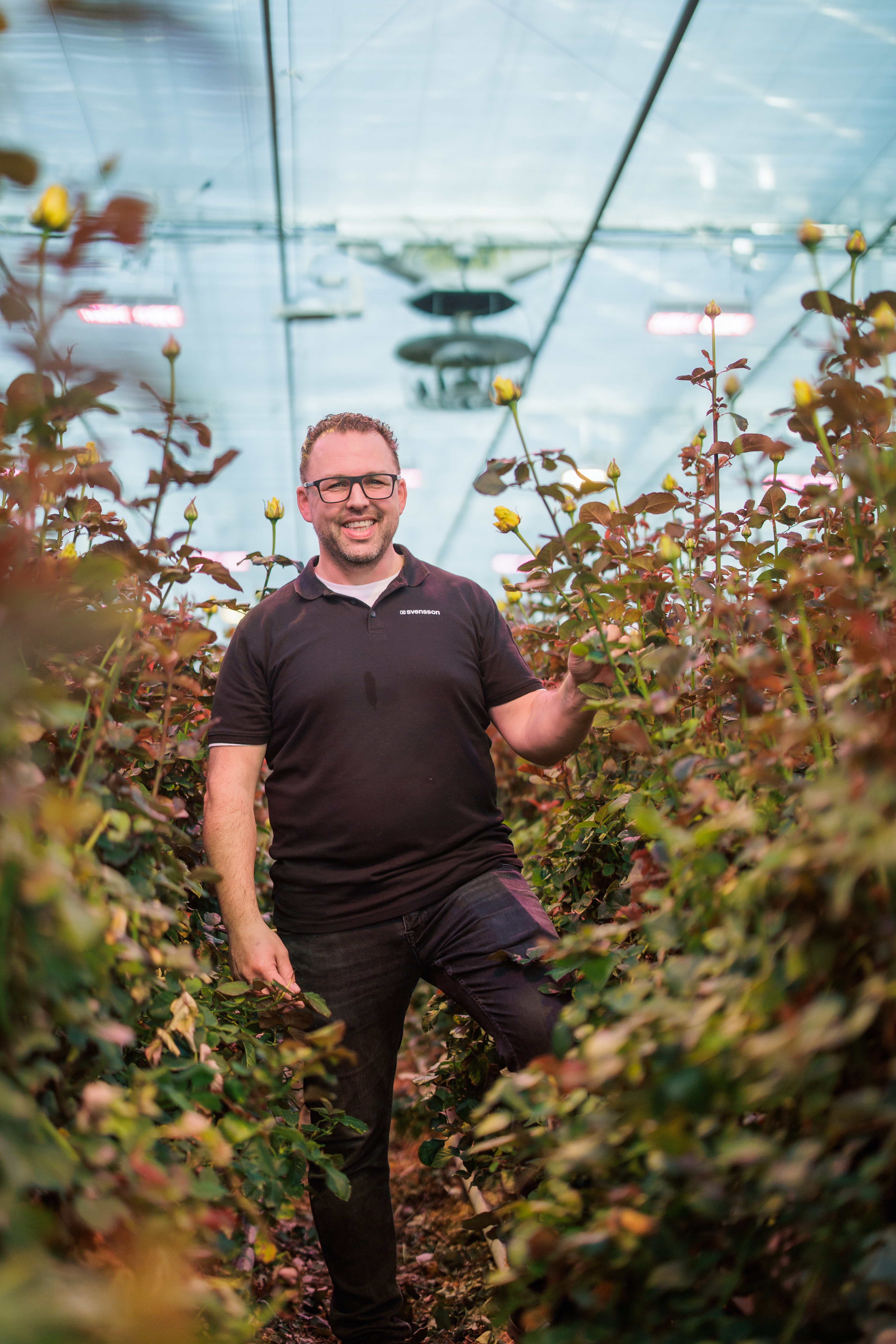 CS - ClimaFlow - Marjoland - ClimaFlow - Dominique Blok - Roses - Netherlands