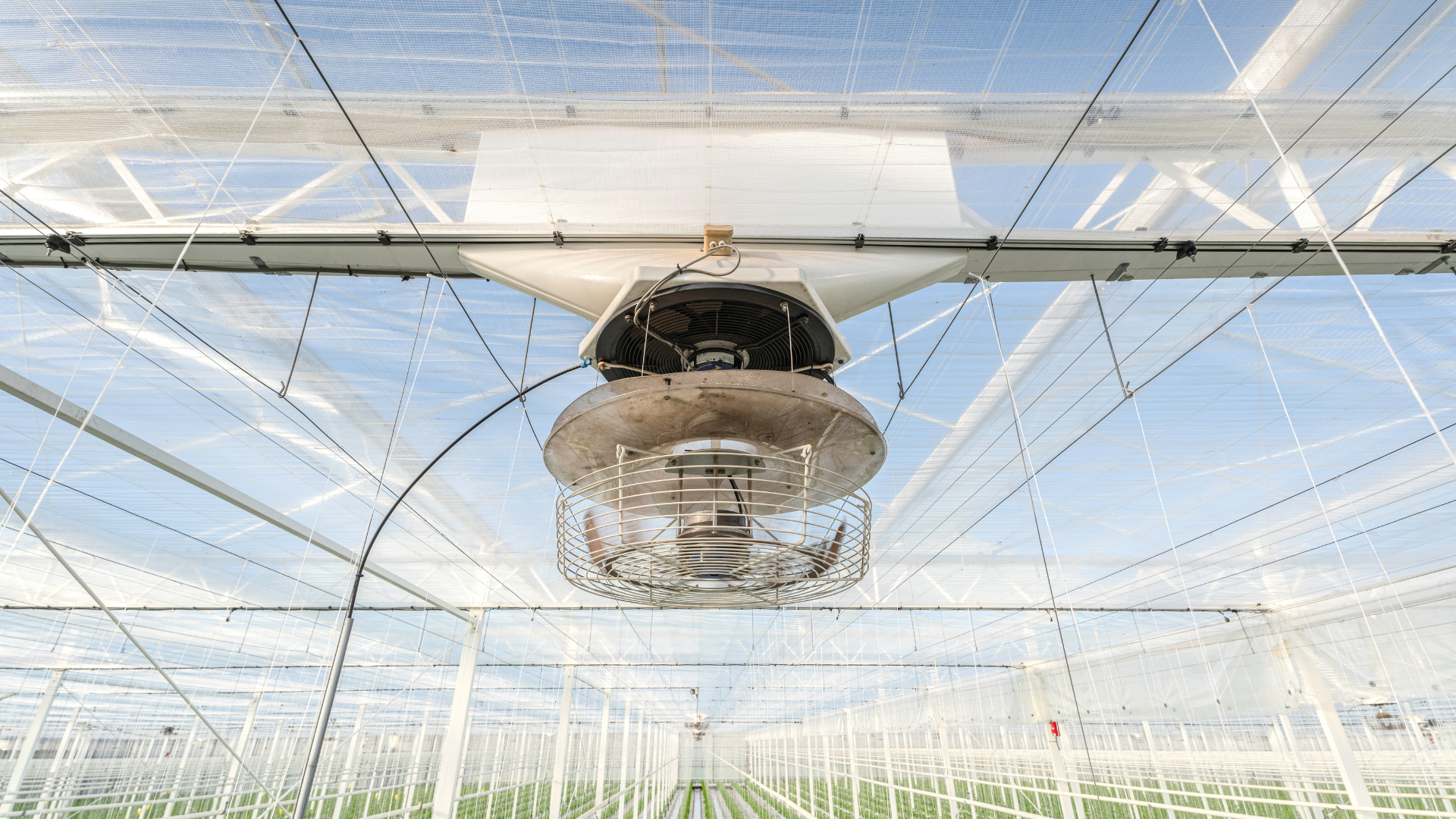 CS - ClimaFlow - Van Broek - Vegetables - Netherlands - Jet