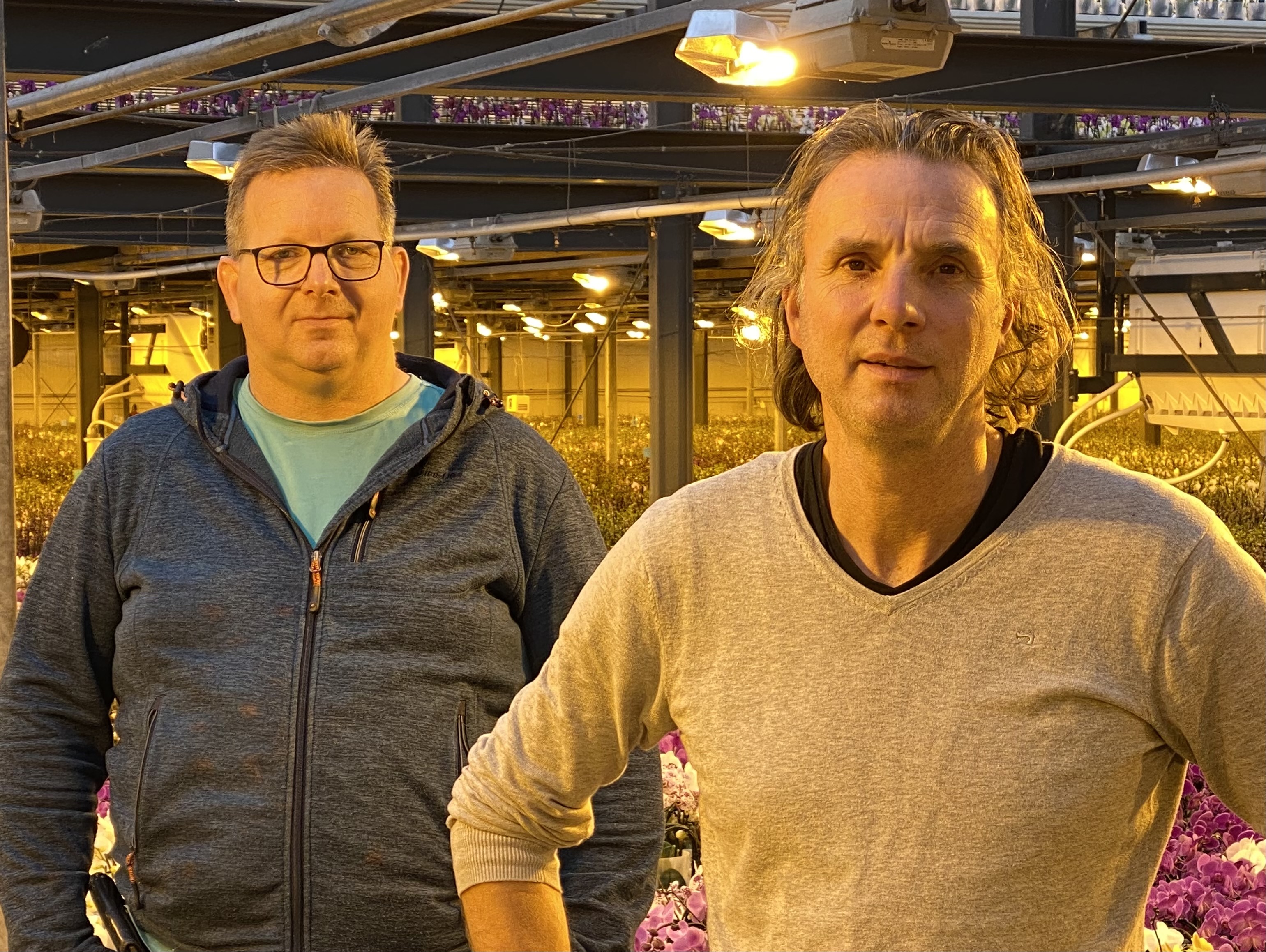 cs - 2020-aphrodite-orchidee-foto-2.jpg