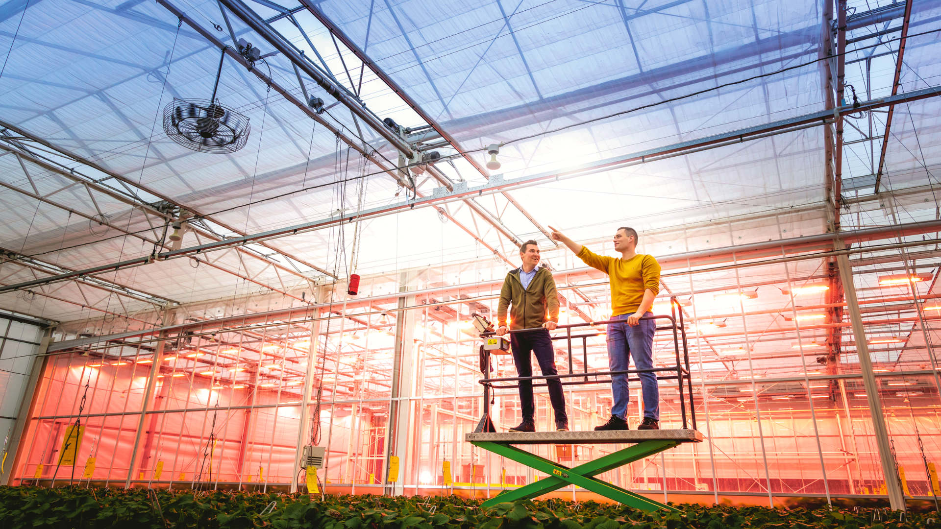 CS - Soft Fruit Trial - Netherlands - 2023 - Joris Vermonden and Grower.png