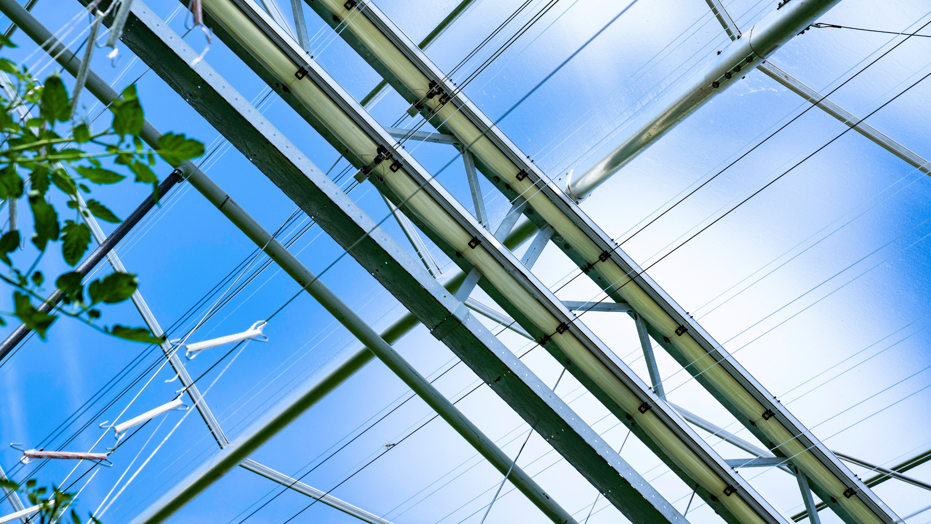 CS - Luxous - Netherlands - Light Transmission - NEN.png