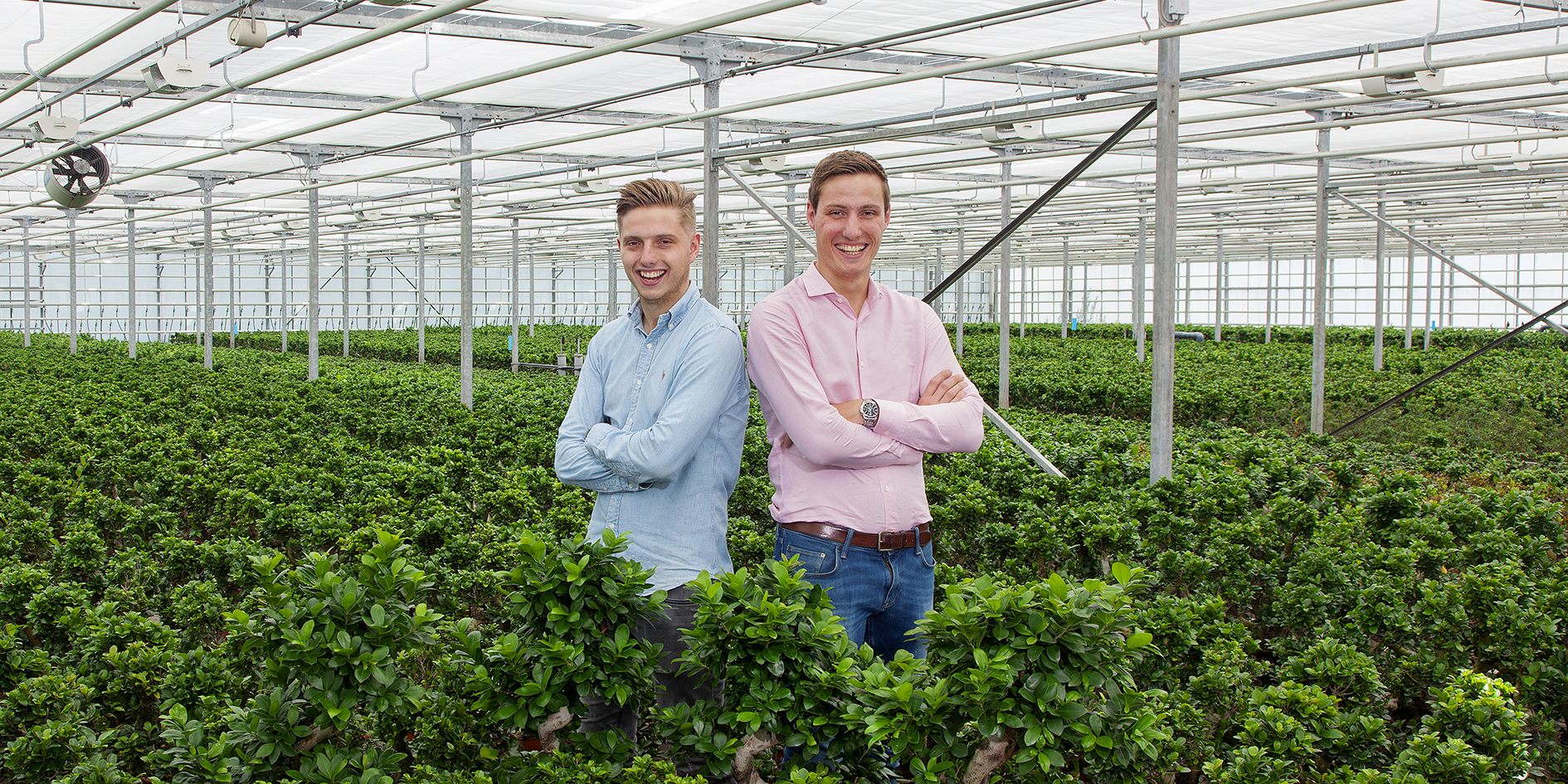 cs - mondo verde - grower stroy.jpg