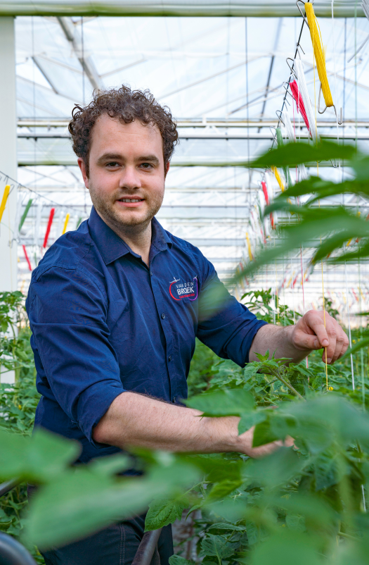 CS - Netherlands - Van den Broek - Eggplants - Tomatoes - ClimaFlow - Grower - Case Card.png