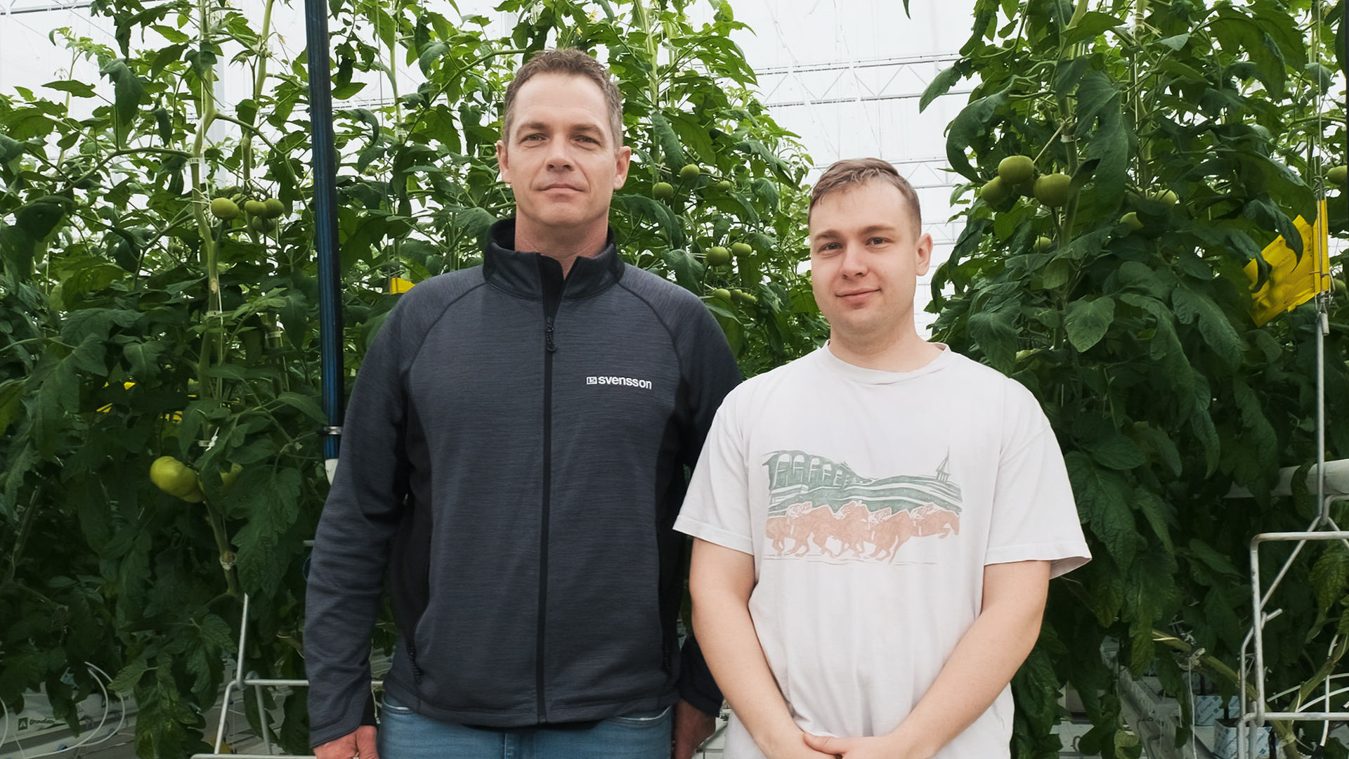CS - Ridge Farms - Canada - Tomatoes - Emilio Mastronardi - Grower - Dustin Mater