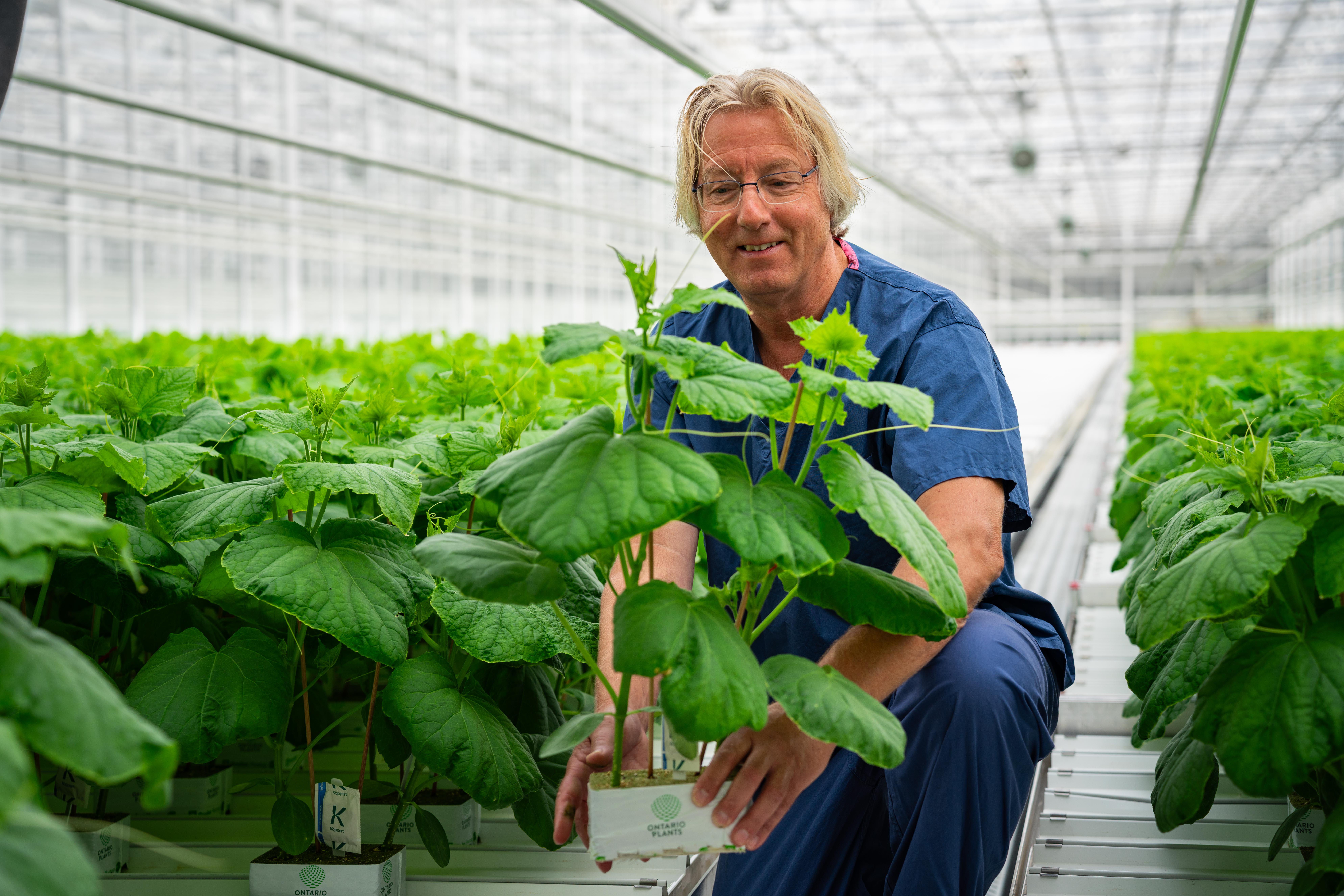 CS - Ontario Plants - Pieter Van Dijk grower - Seedlings - Canada