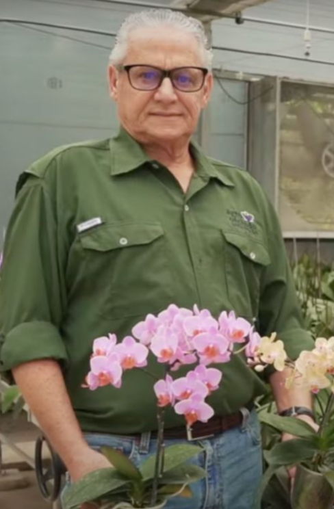 CS - Agro Orchids - Costa Rica - Phalaenopsis - Tempa - Luxous - Obscura - Harmony.png