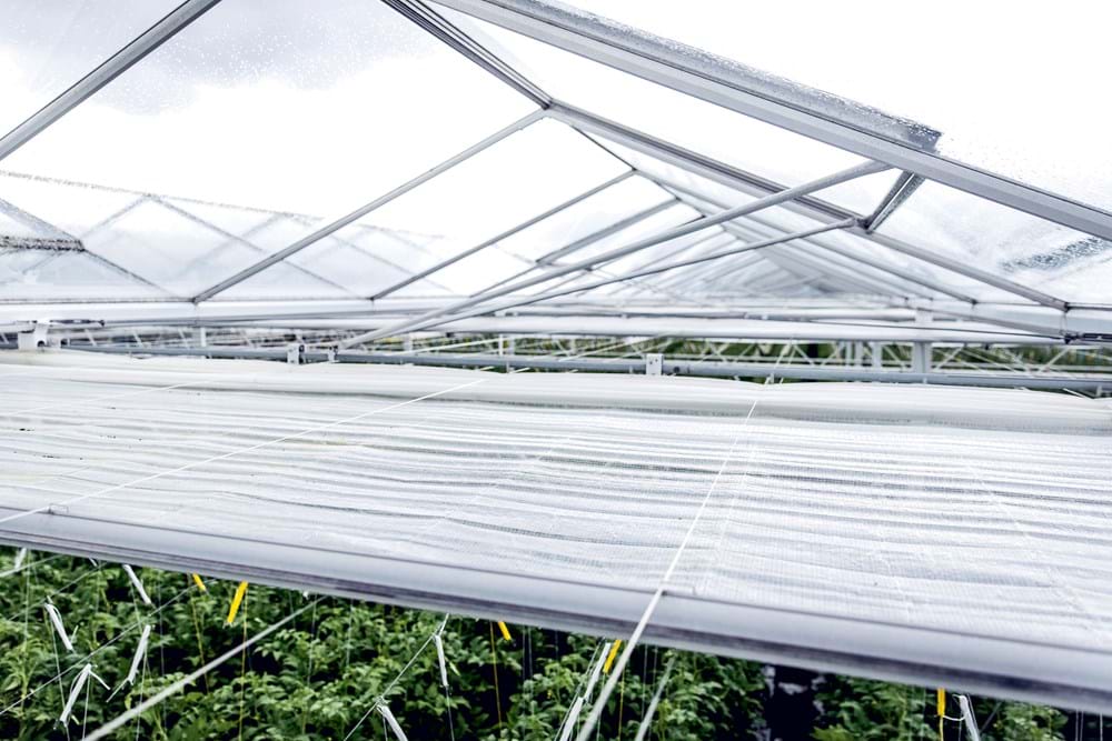 CS2026 Vervaningsoperatie 3 NL.jpg