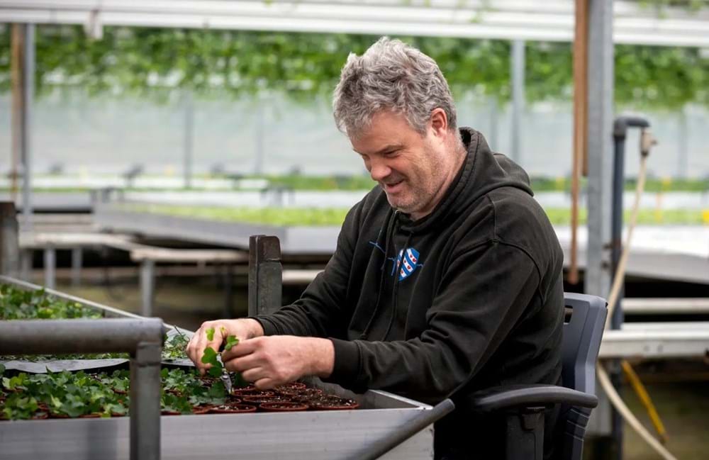 CS2026 casparis NL.jpg