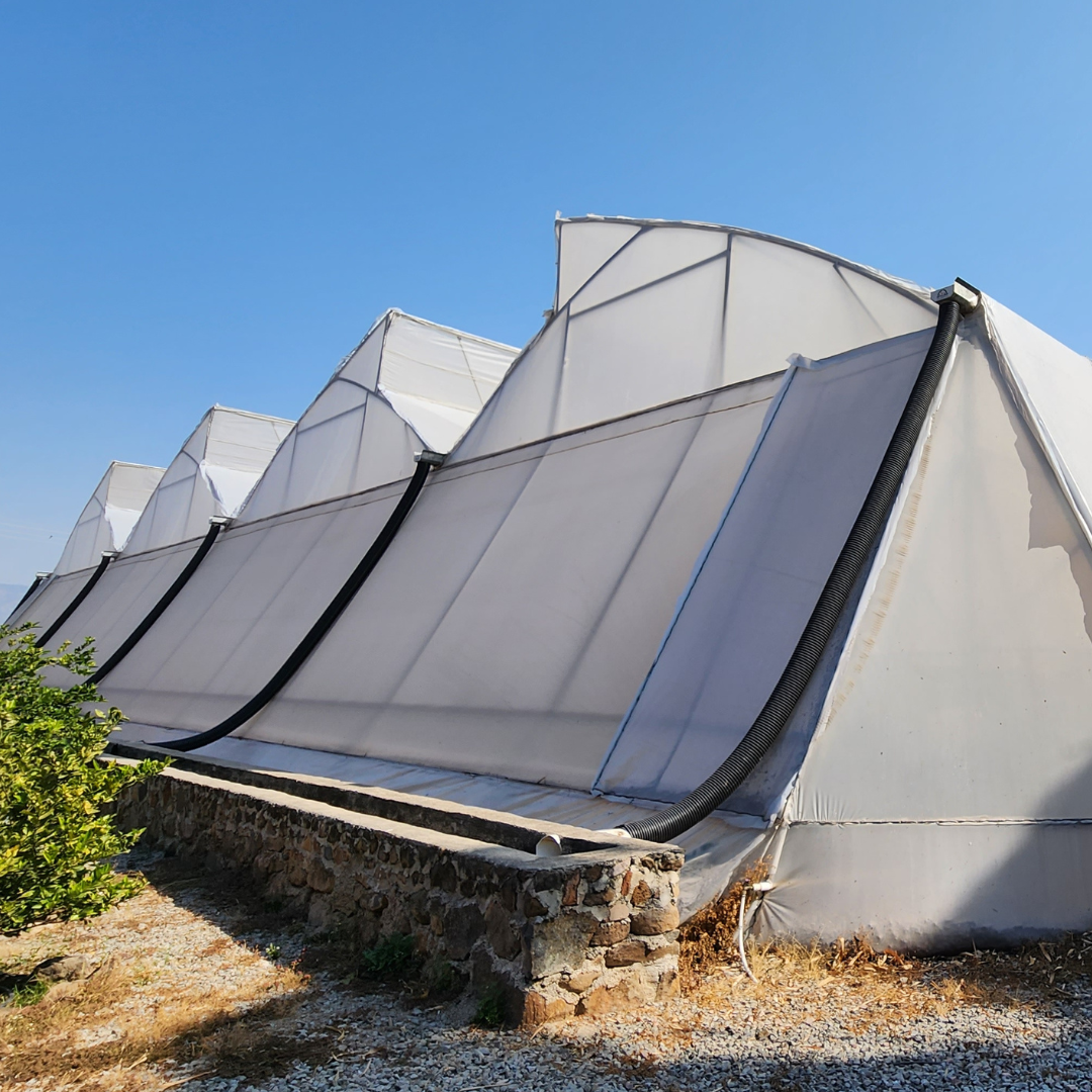 CS - Hacienda El Carmen - Tomato - Greenhouse.png