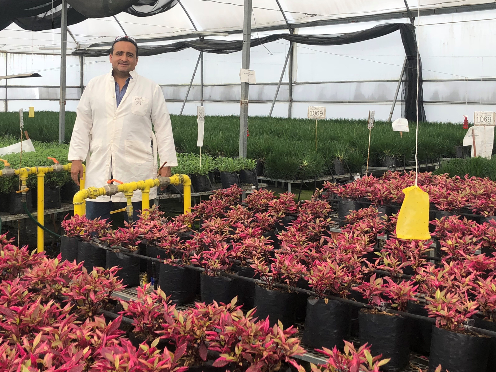 cs - floraplant-listing - grower in pic.png