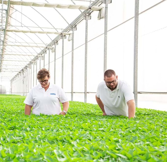 cs - cristalplant - growers in shot.jpg