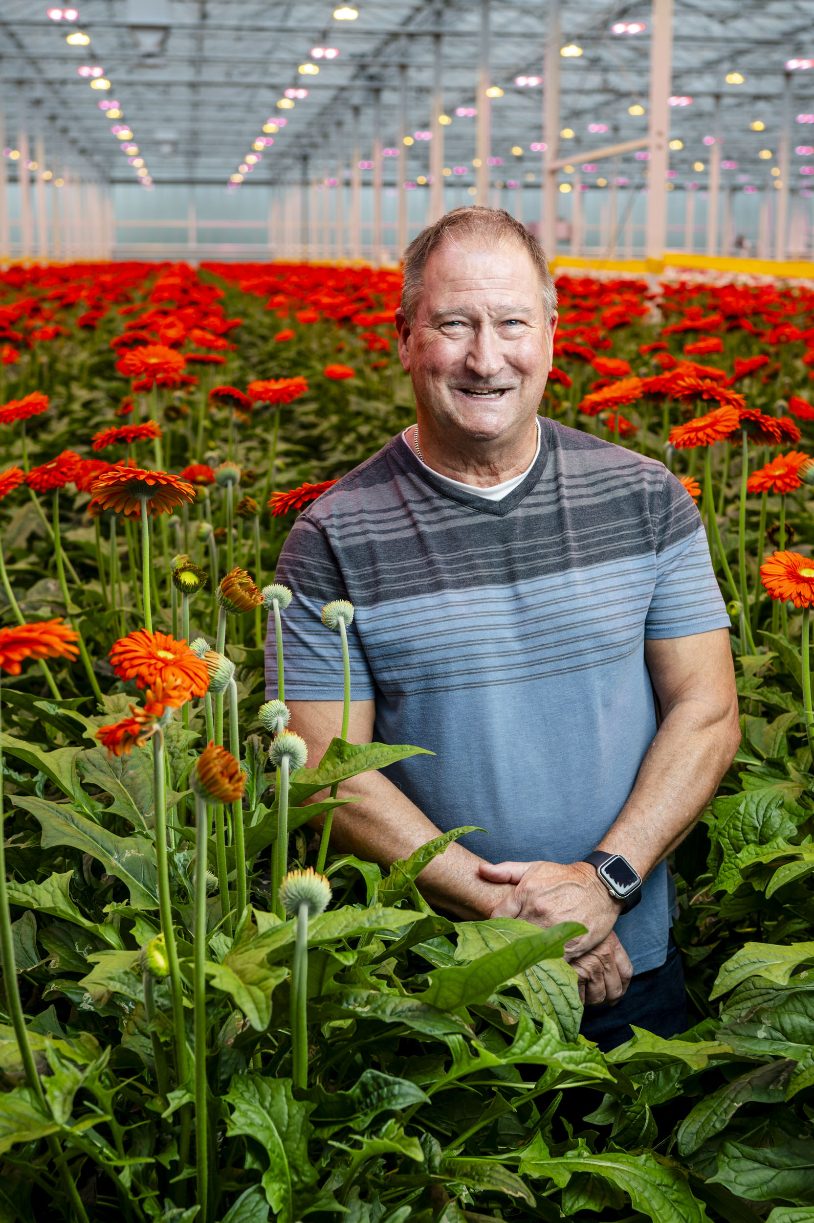 CS - Hollandia - Terry Pastorek - 2026 - Gerberas - Canada.jpg