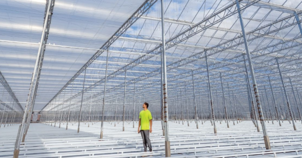 CS - Highlights - Energy Curtains.png