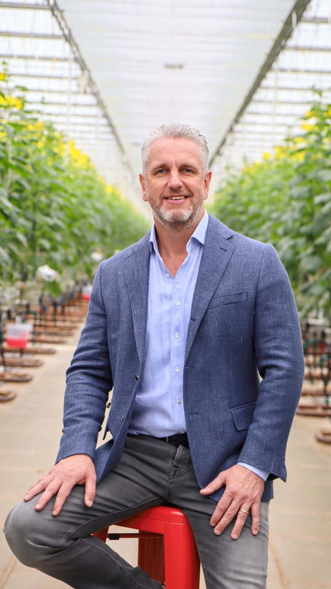 CS - Highlights - Koert - Royal Pride - Cucumbers.png