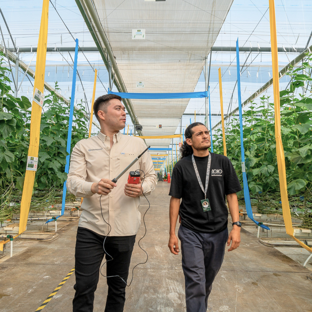 CS - LSMX - Hector Parra - Know How - Grower - 2026.png