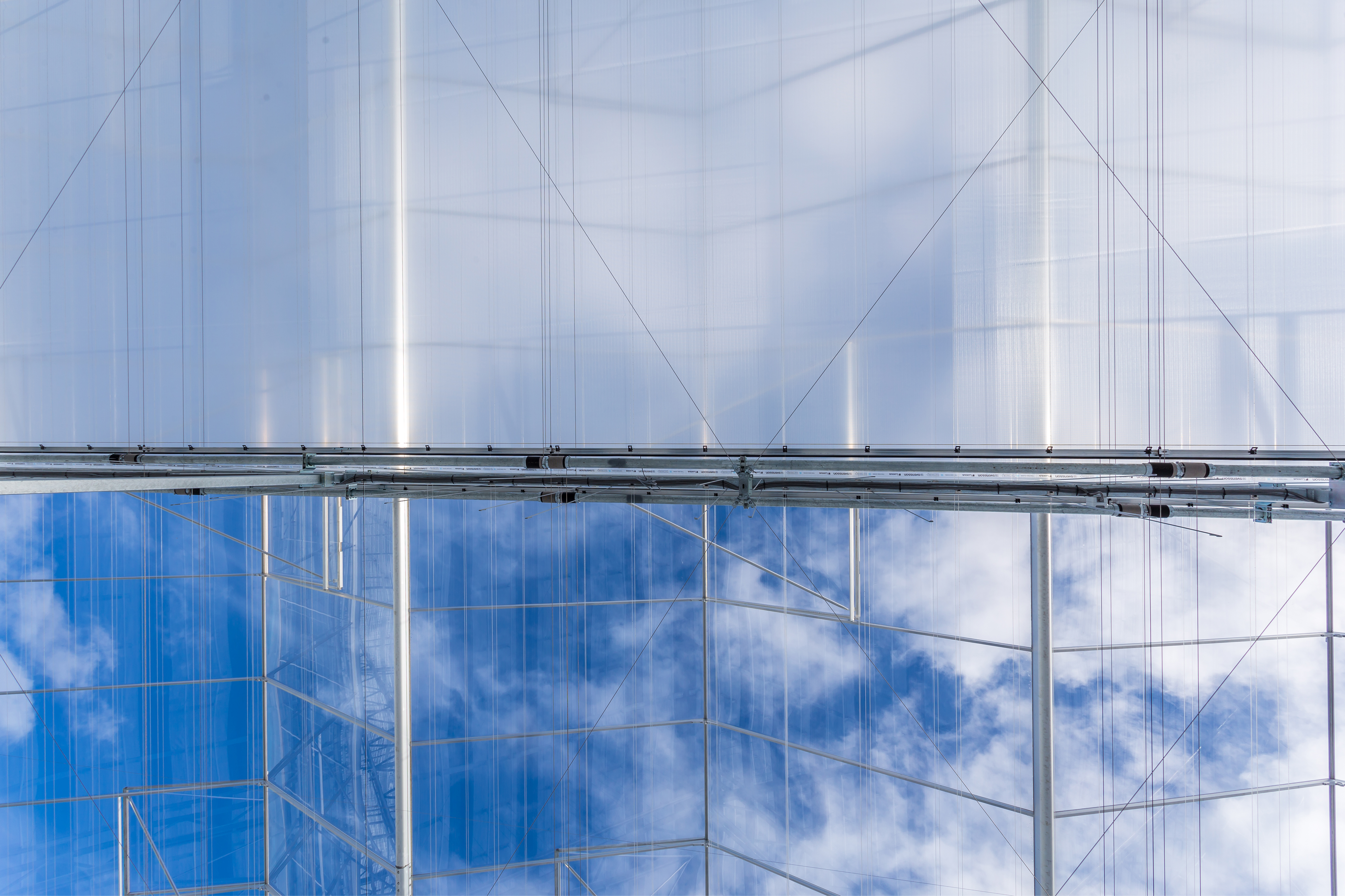 cs - luxous-1147-fr high res square.jpg