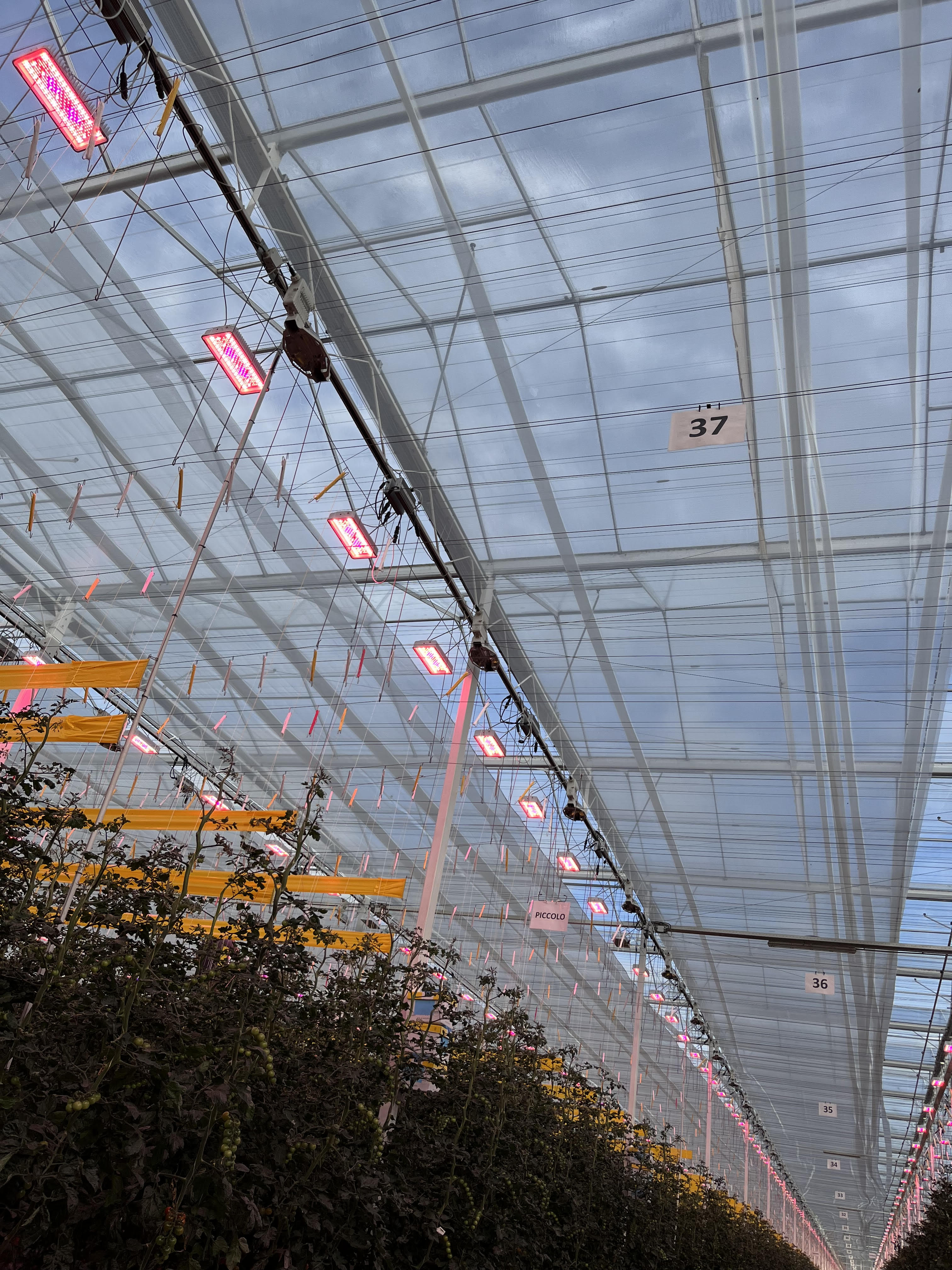 cs - thanet-earth_new-climate-screen-pic-3.jpg