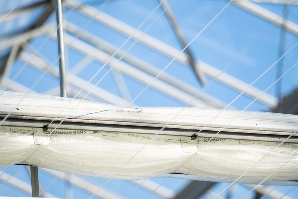 cs - carniflora - luxous.jpg