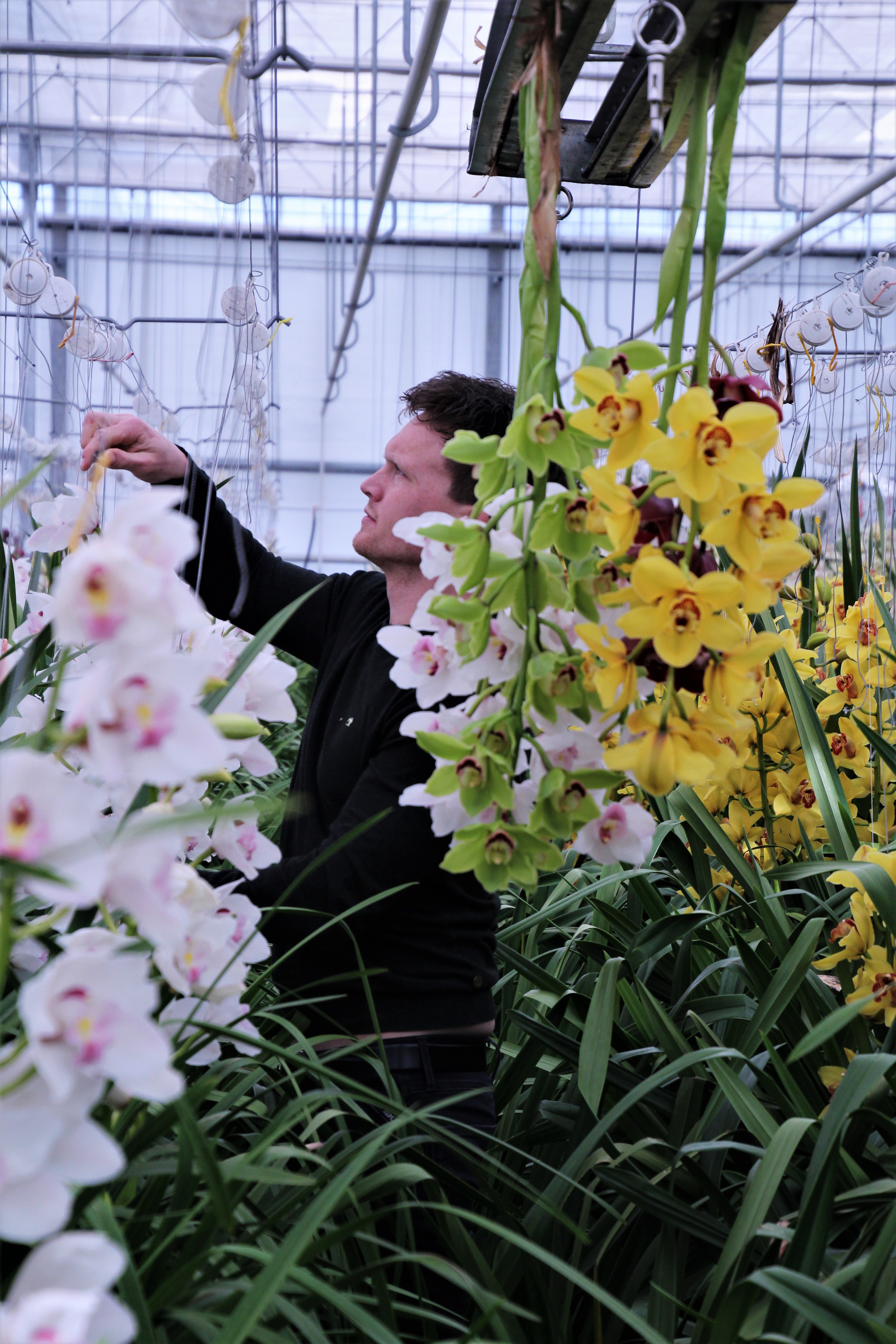 cs - van-tilburg-3.jpg