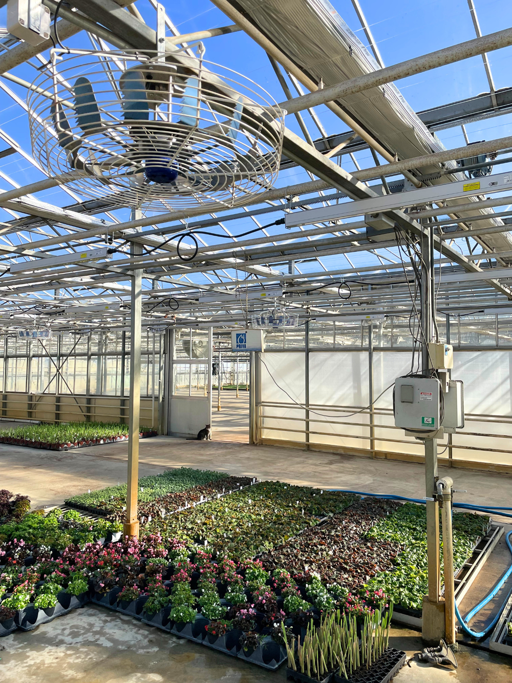 cs - Selles Farm - 2025 - Climaflow.png