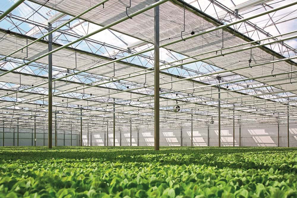 cs - gitzels-greenhouse.jpg
