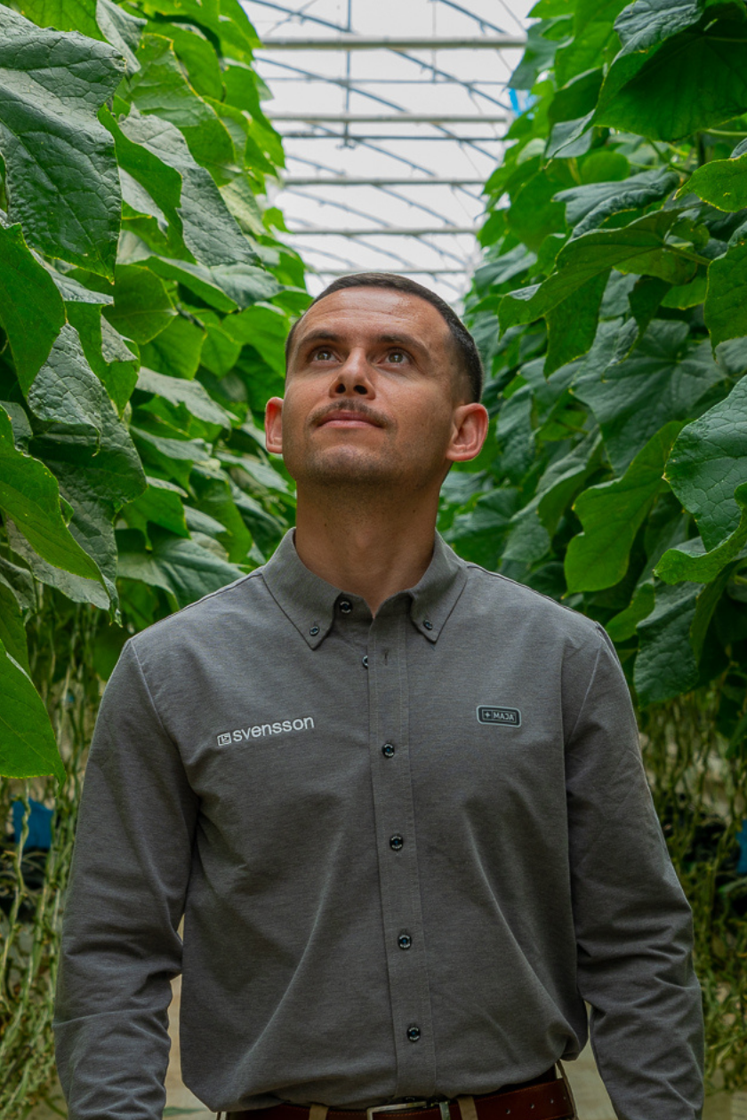 CS - Sebastian Gerardo_Climate Consultant_Greenhouse_Cucumber.png