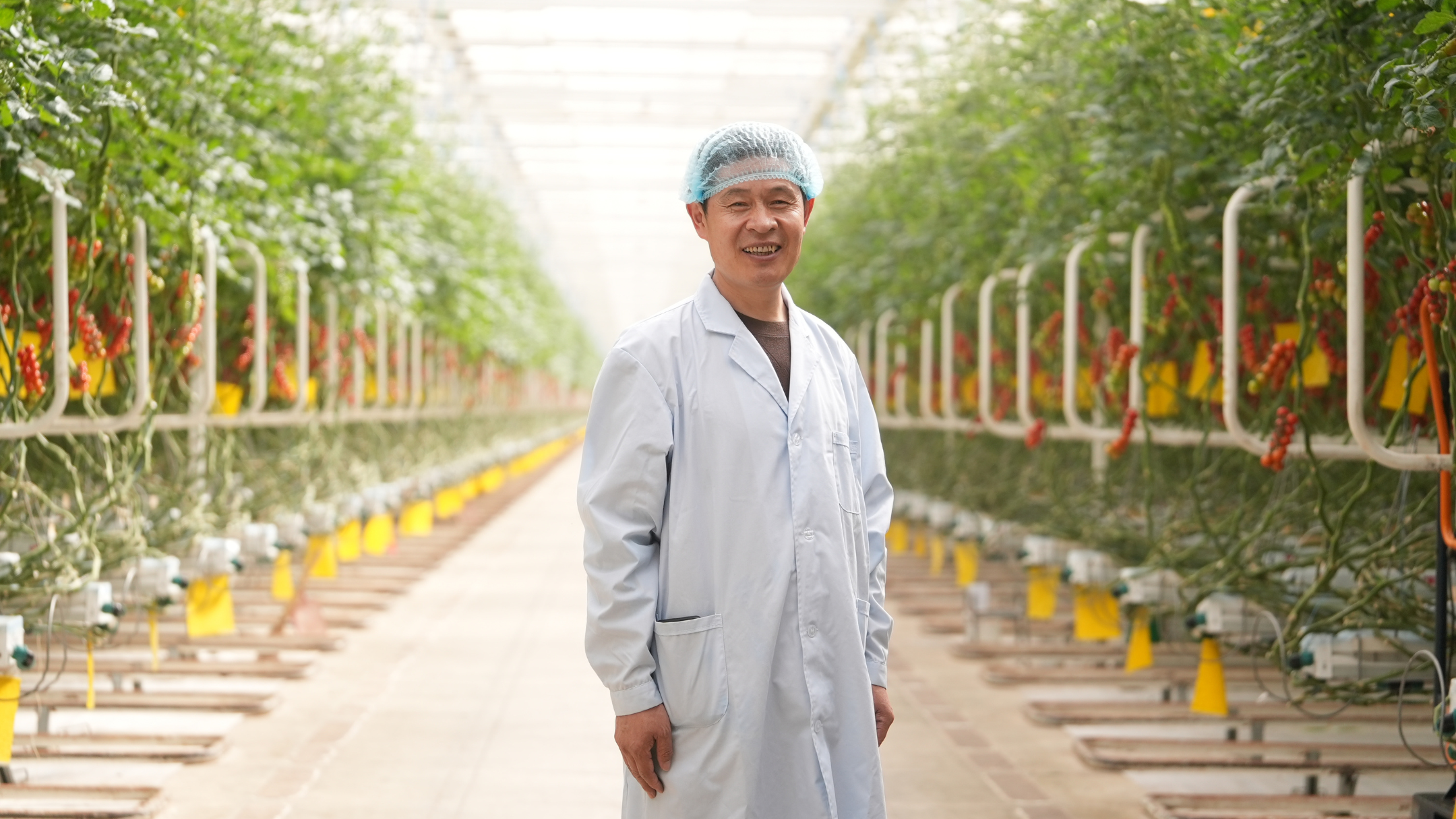 CS - Haoyu Group - Tomatoes - Luxous - Harmony - Energy Monitor - China - Grower.png