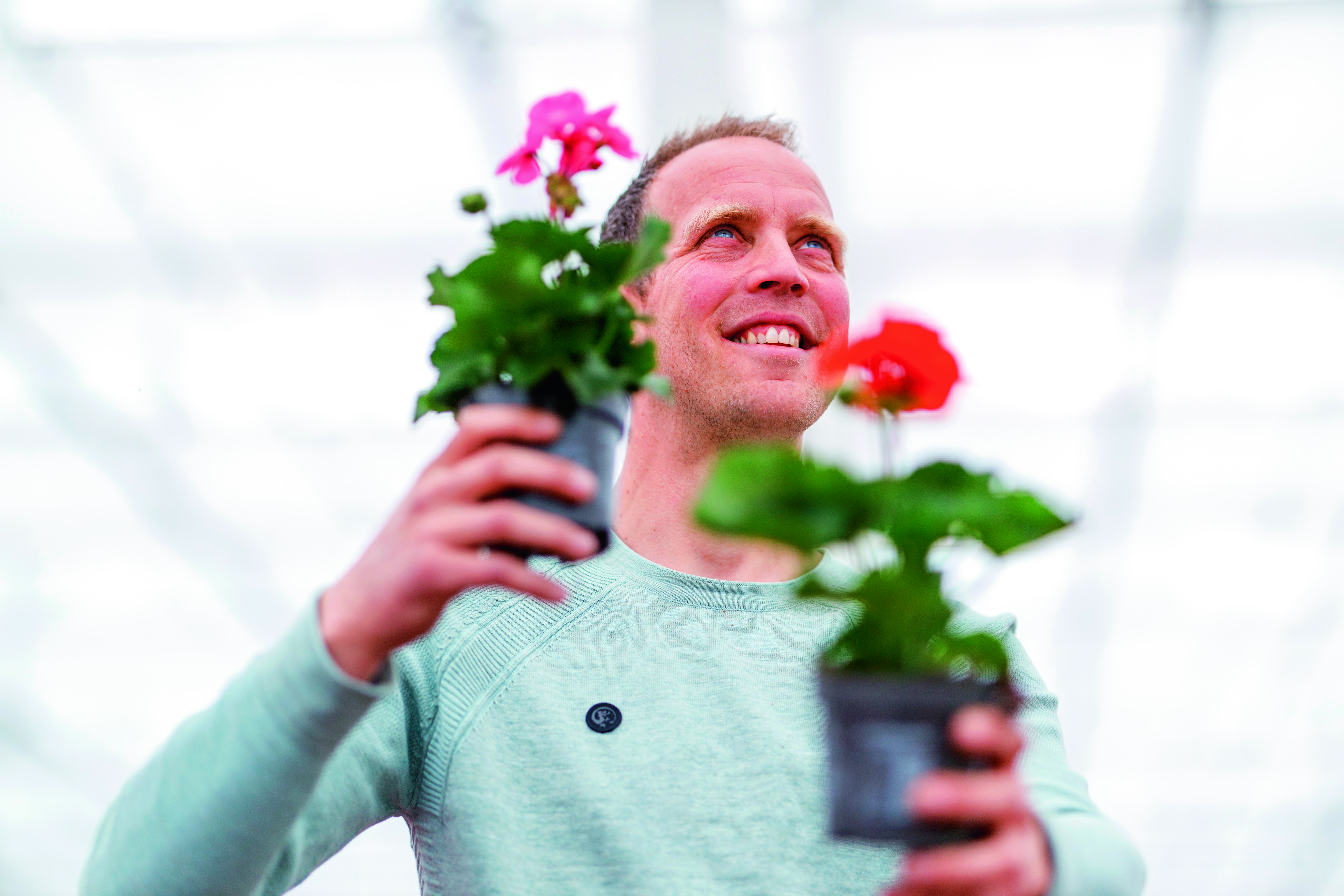 CS - Bergcamp - PARPerfect - Netherlands - Grower - Flowers.jpg
