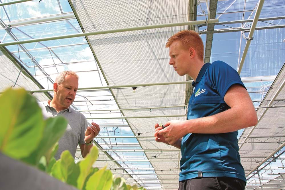 CS2026 planten kweterij NL.jpg