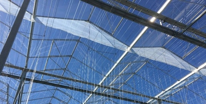 CS - Highlights - Greenhouse - Vertical Screens.jpg