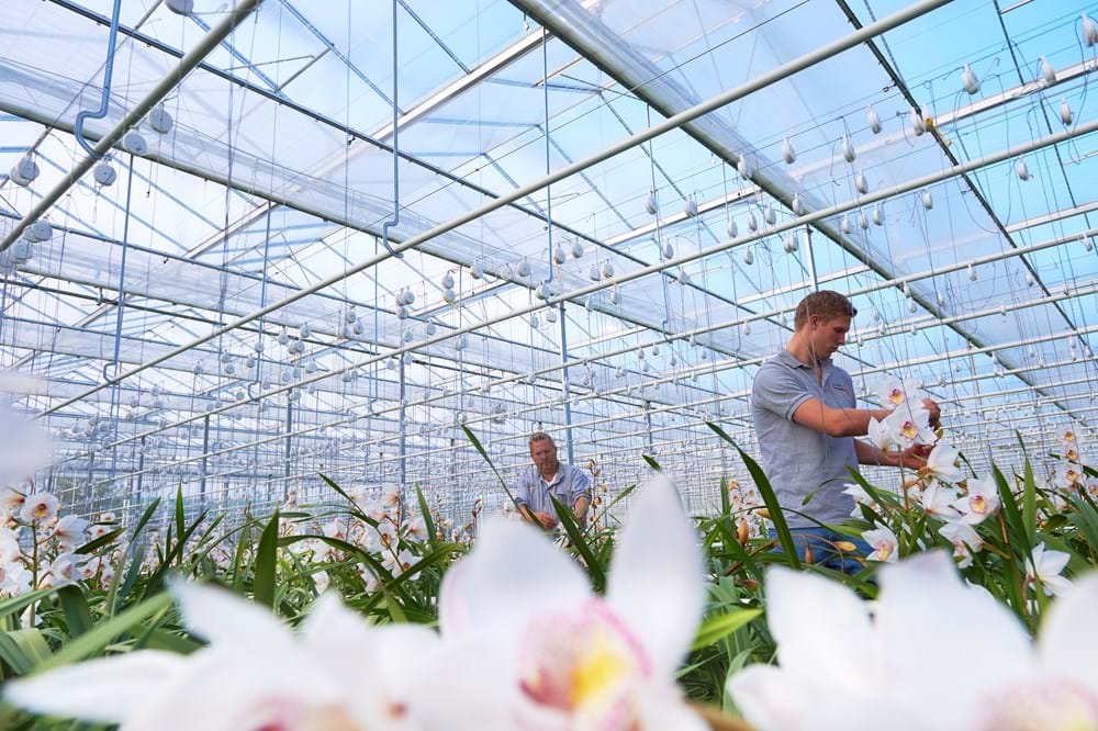 CS2026 Frans de Koning 1 NL.jpg