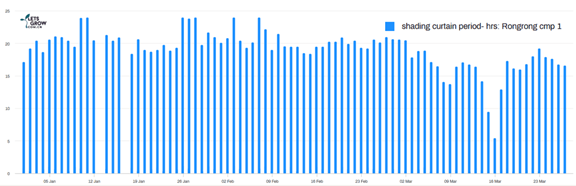 CS - Rong Rong Farms - Peppers - China - Xsect - Grower - Data